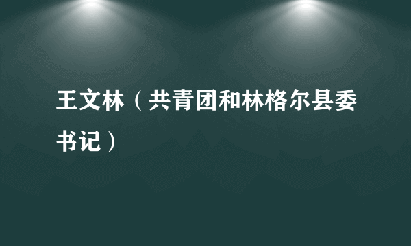 王文林（共青团和林格尔县委书记）