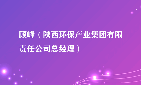 顾峰（陕西环保产业集团有限责任公司总经理）