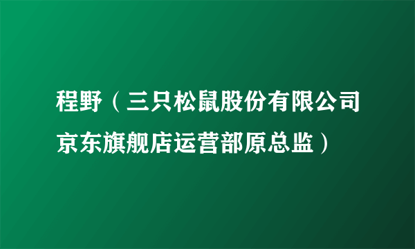 程野（三只松鼠股份有限公司京东旗舰店运营部原总监）