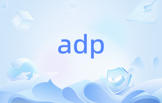 adp（Access 项目）