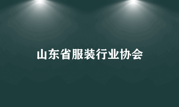 山东省服装行业协会