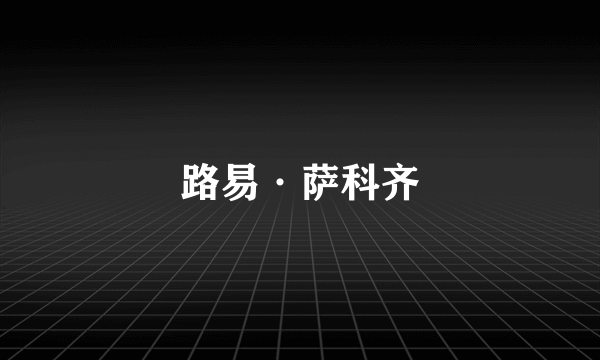 路易·萨科齐