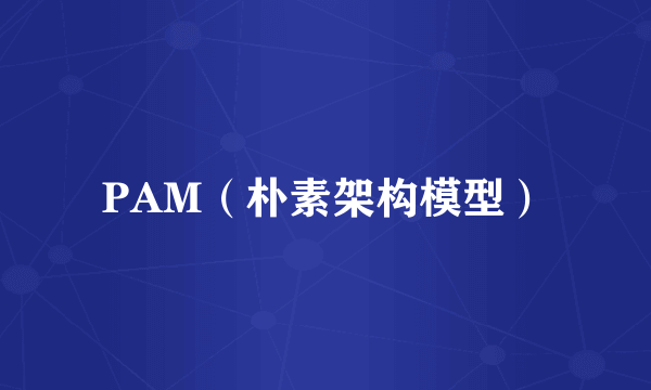 PAM（朴素架构模型）