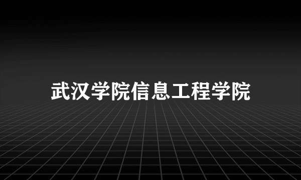 武汉学院信息工程学院