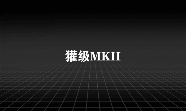 獾级MKII