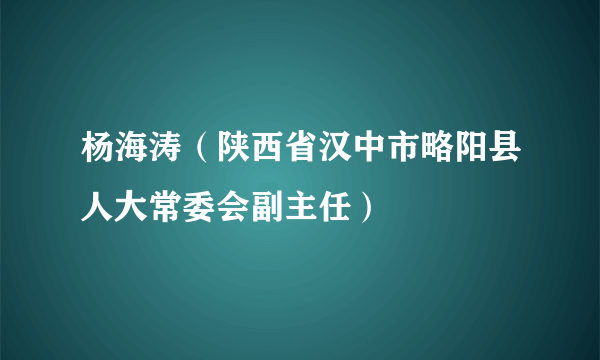 杨海涛（陕西省汉中市略阳县人大常委会副主任）