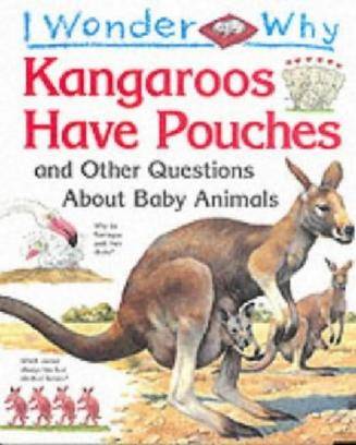 Kangaroos袋鼠