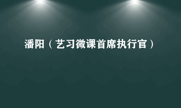 潘阳（艺习微课首席执行官）