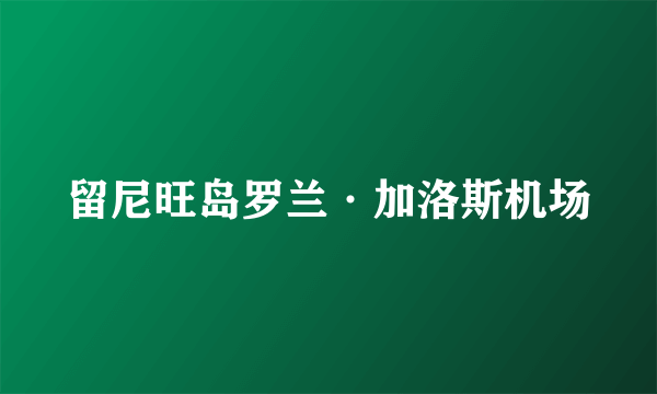 留尼旺岛罗兰·加洛斯机场