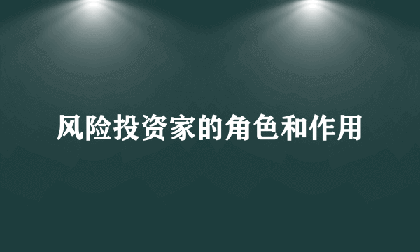 风险投资家的角色和作用