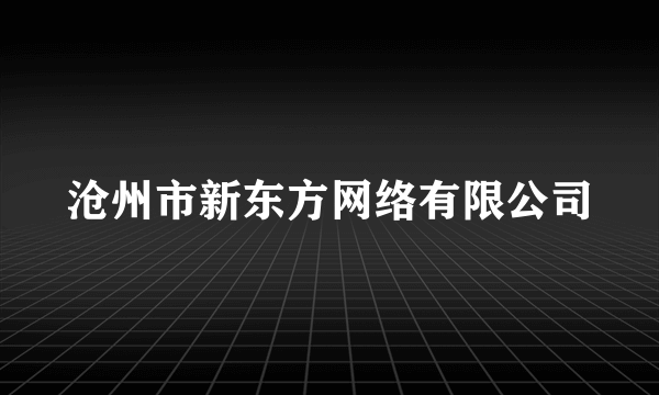 沧州市新东方网络有限公司