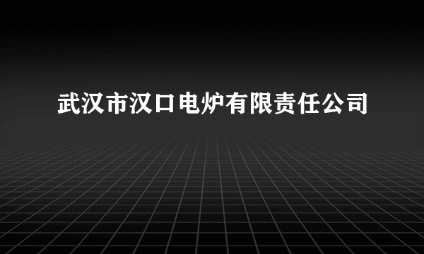 武汉市汉口电炉有限责任公司