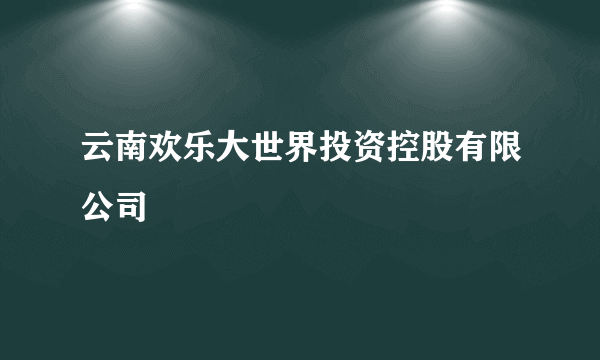 云南欢乐大世界投资控股有限公司