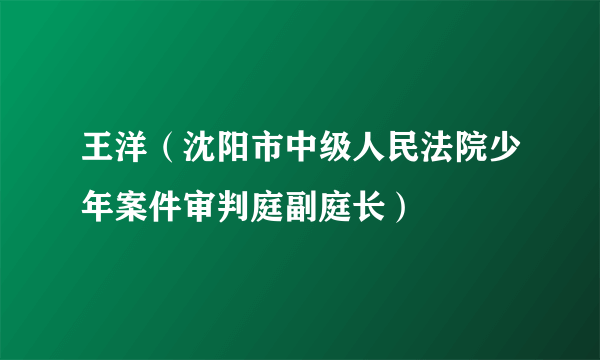 王洋（沈阳市中级人民法院少年案件审判庭副庭长）