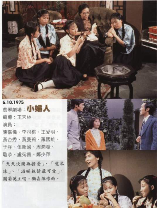 小妇人（1975年王天林执导电视剧）