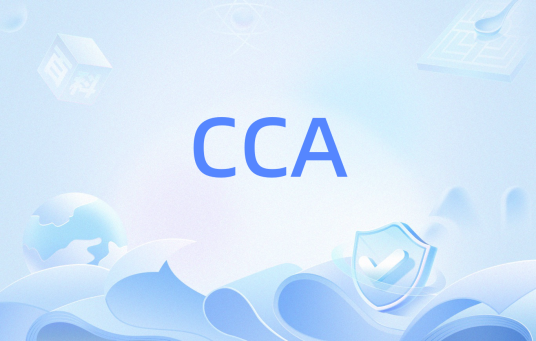 CCA（空闲信道评估）