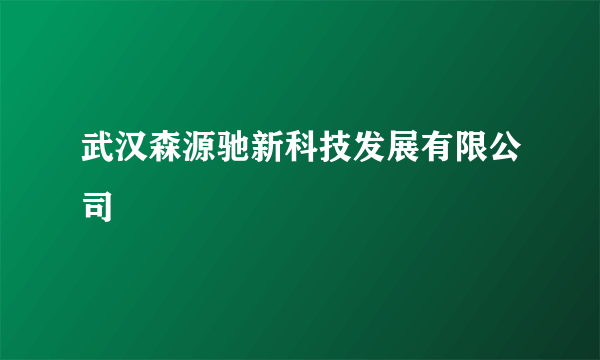 武汉森源驰新科技发展有限公司