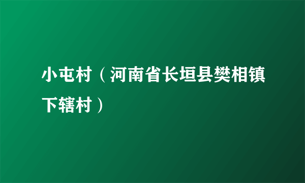 小屯村（河南省长垣县樊相镇下辖村）