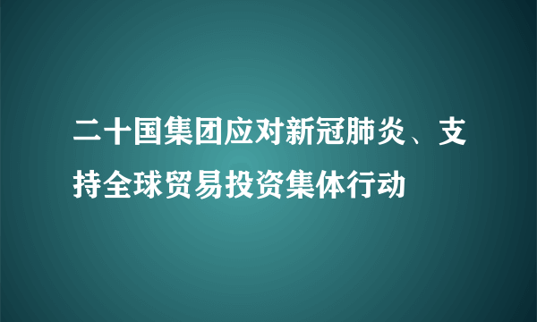 二十国集团应对新冠肺炎、支持全球贸易投资集体行动