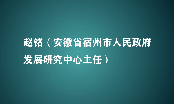 赵铭（安徽省宿州市人民政府发展研究中心主任）