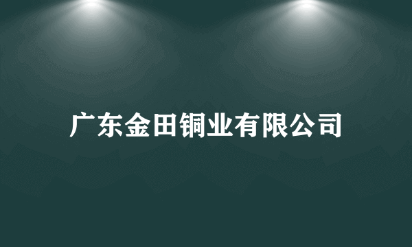 广东金田铜业有限公司