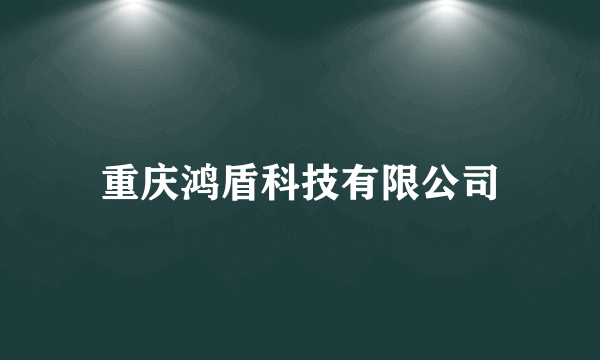 重庆鸿盾科技有限公司