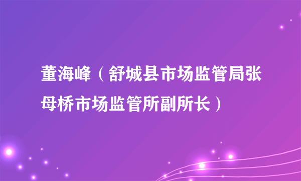 董海峰（舒城县市场监管局张母桥市场监管所副所长）