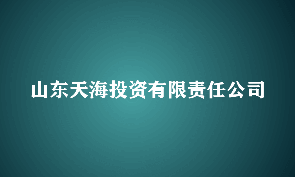 山东天海投资有限责任公司