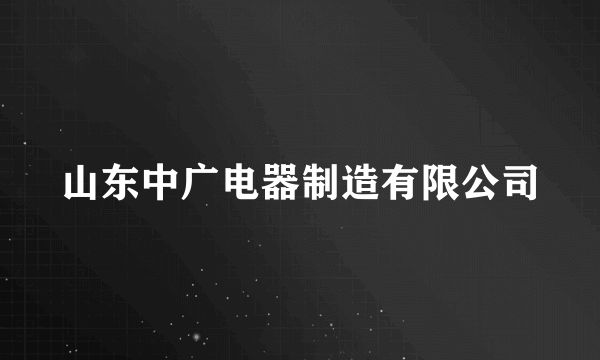 山东中广电器制造有限公司