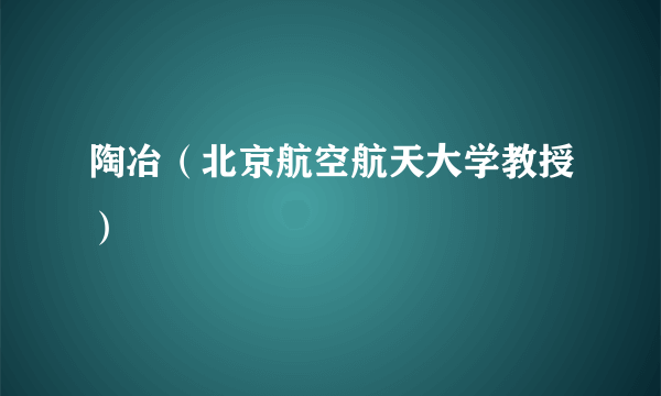 陶冶（北京航空航天大学教授）