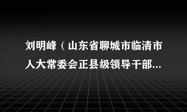 刘明峰（山东省聊城市临清市人大常委会正县级领导干部、临清市文化和旅游行业党委书记）