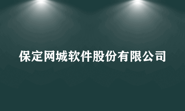 保定网城软件股份有限公司