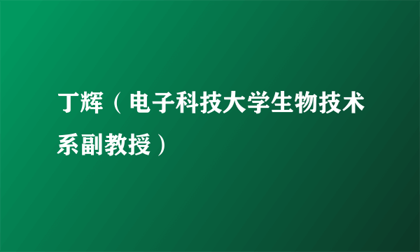 丁辉（电子科技大学生物技术系副教授）