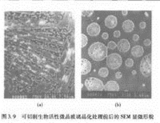 生物活性微晶玻璃