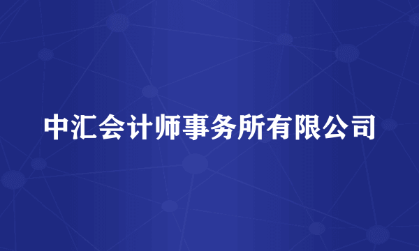 中汇会计师事务所有限公司