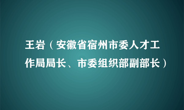 王岩（安徽省宿州市委人才工作局局长、市委组织部副部长）