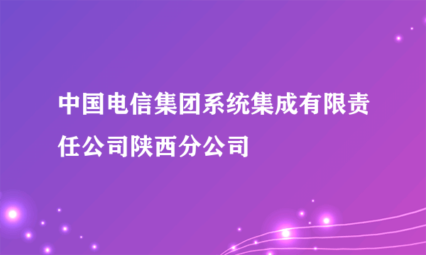 中国电信集团系统集成有限责任公司陕西分公司