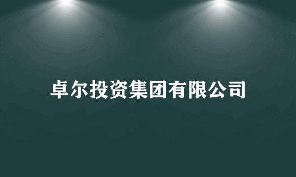 卓尔投资集团有限公司