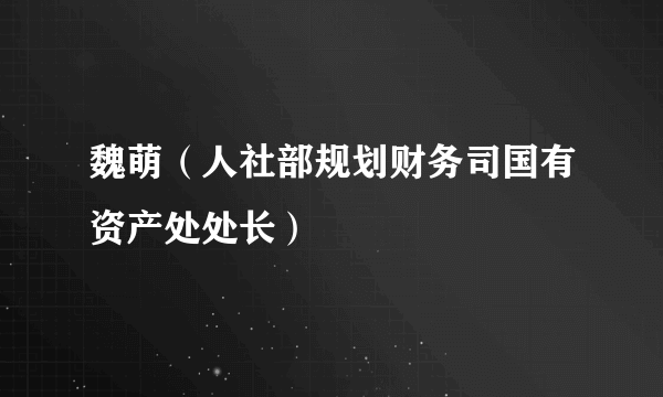 魏萌（人社部规划财务司国有资产处处长）