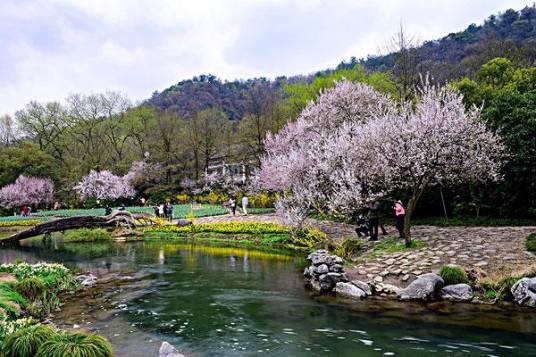 天津海河音乐公园