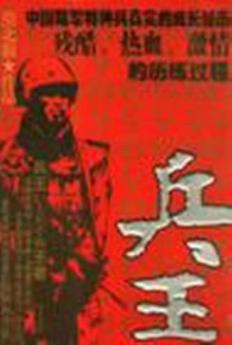 兵王（2006年时事出版社出版的图书）