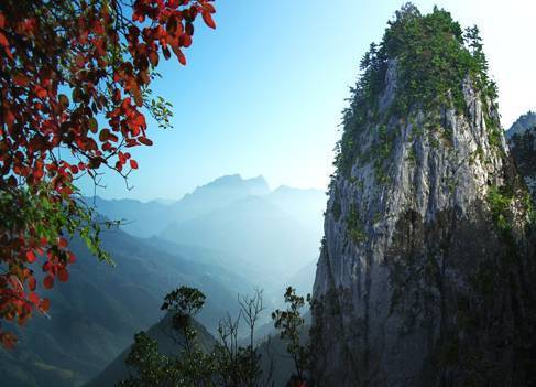 山阳县天竺森林公园