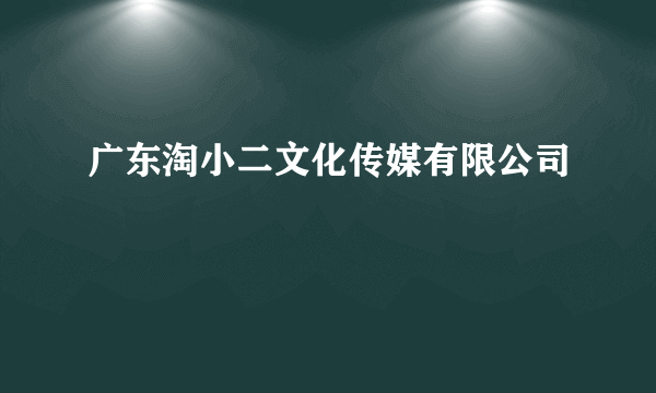 广东淘小二文化传媒有限公司