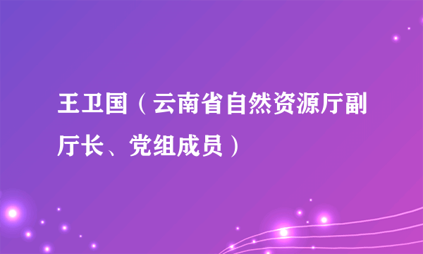 王卫国（云南省自然资源厅副厅长、党组成员）