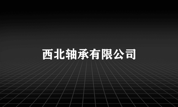 西北轴承有限公司