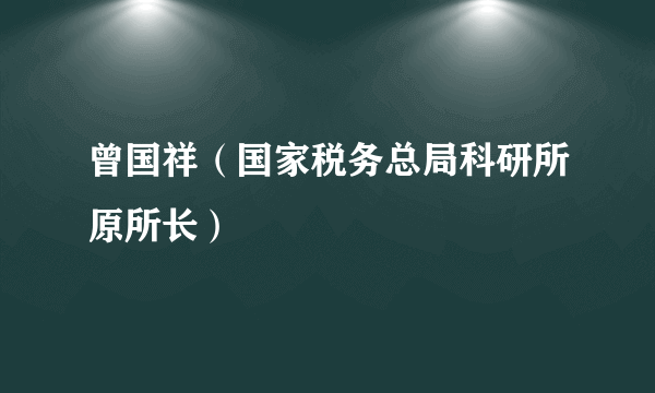 曾国祥（国家税务总局科研所原所长）