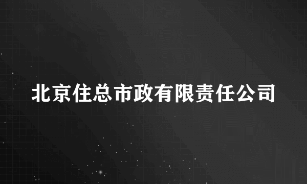 北京住总市政有限责任公司