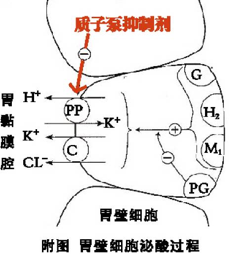 质子泵抑制剂指南