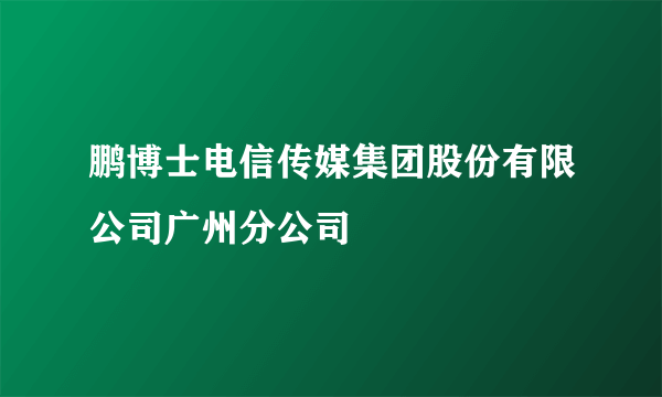 鹏博士电信传媒集团股份有限公司广州分公司