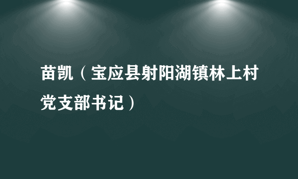 苗凯（宝应县射阳湖镇林上村党支部书记）